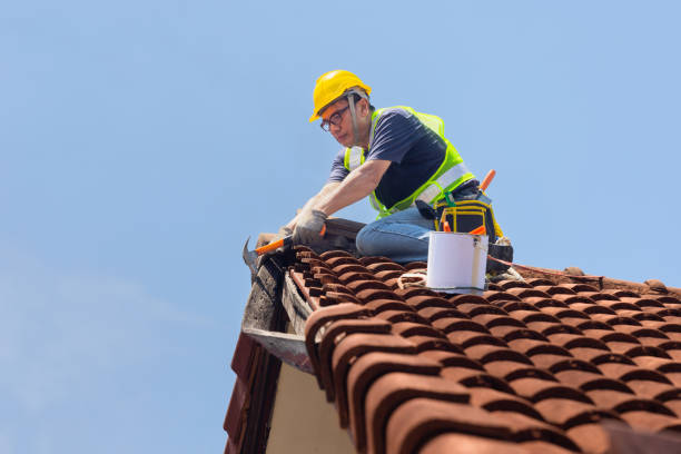 Best Emergency Roof Repair Services  in Webster City, IA